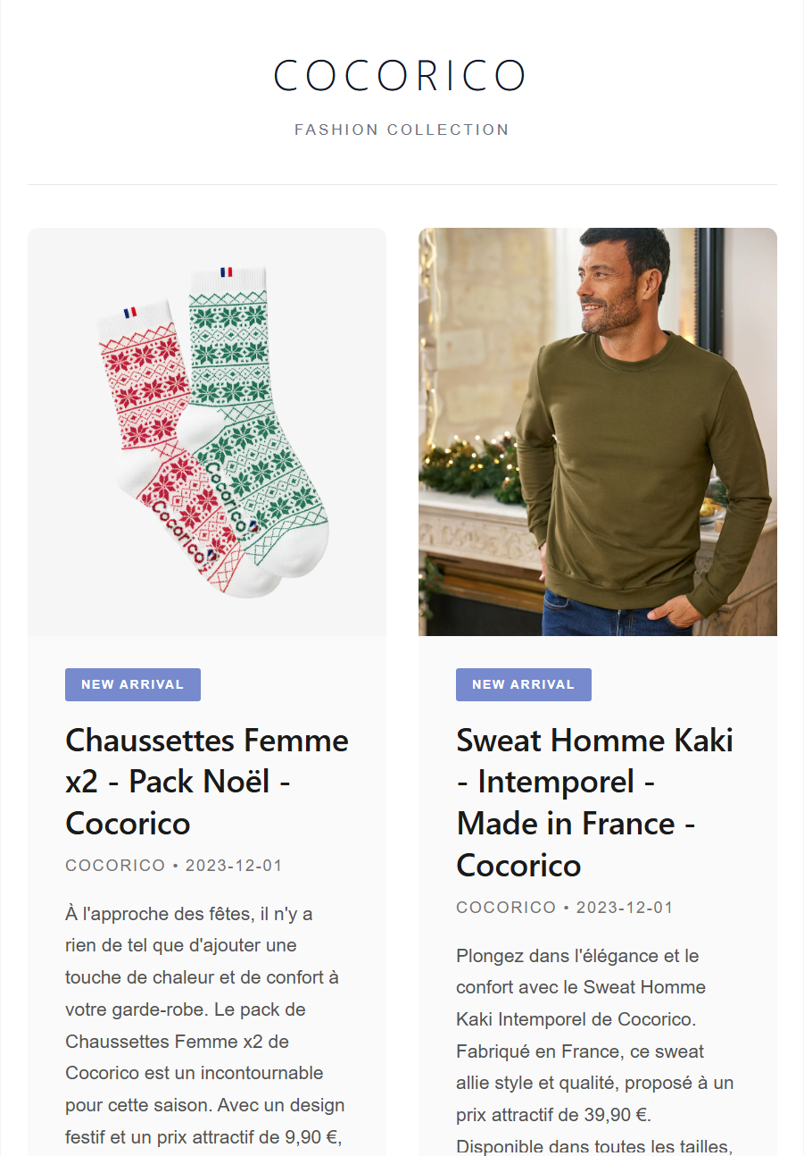 Exemple de newsletter e-commerce avec promotions